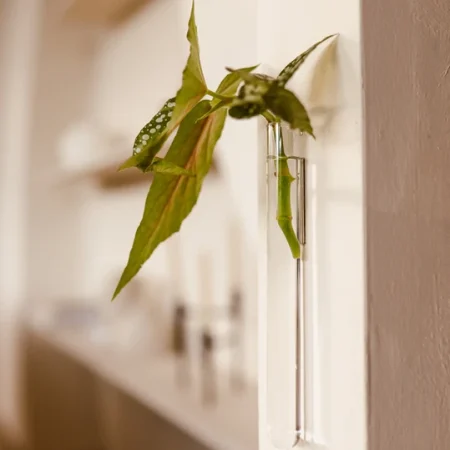 Væghængt vase, vase, stilren, blomster