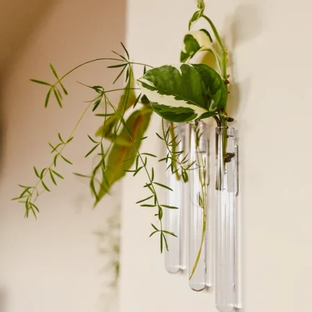 Væghængt vase, vase, stilren, blomster