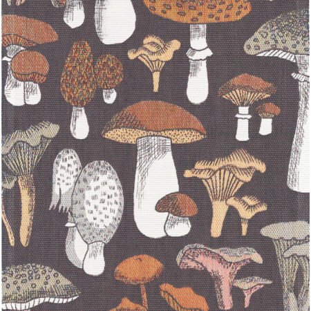 Viskestykke - svampe