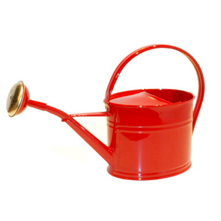 Vandkande 1,7 l - rød